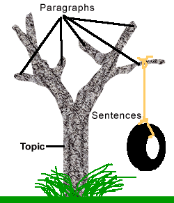 A tire swing serving as sentences to be compared to the paragraphs to see if it is related to them.