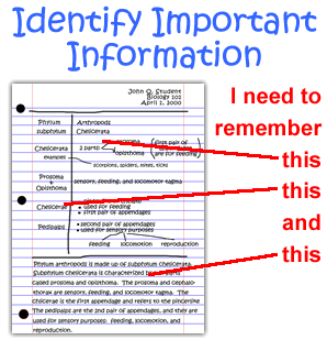 Identify important or confusing information in your notes.